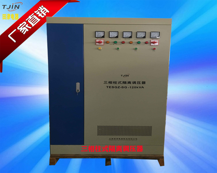 TESGZ-120KVA三相隔离柱式电动调压器