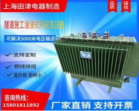三相油浸式隧道变压器TJS9-800KVA 380V升1250v